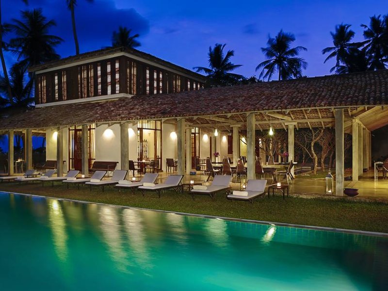 Villa Frangipani Tree 112301