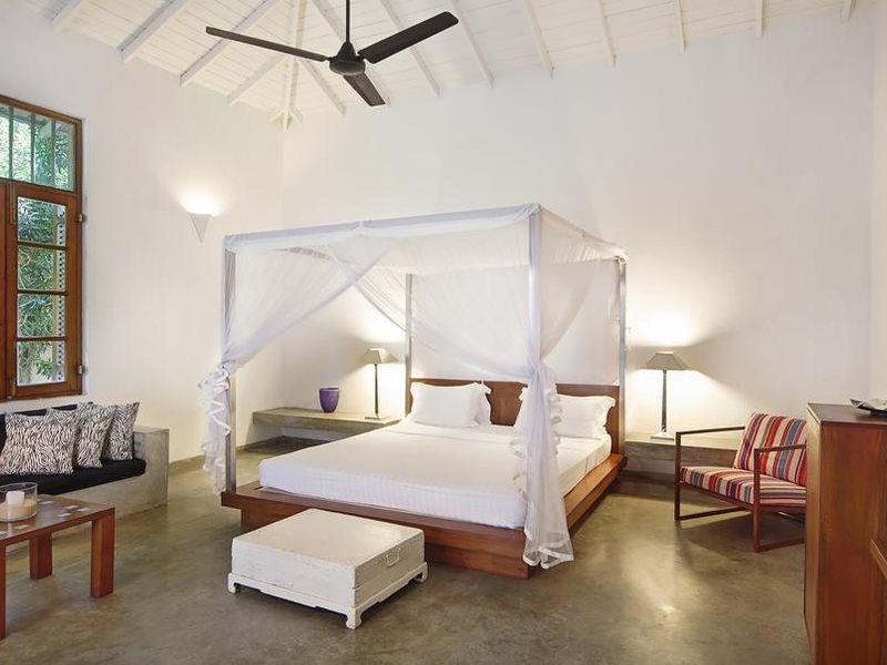 Villa Frangipani Tree 112306