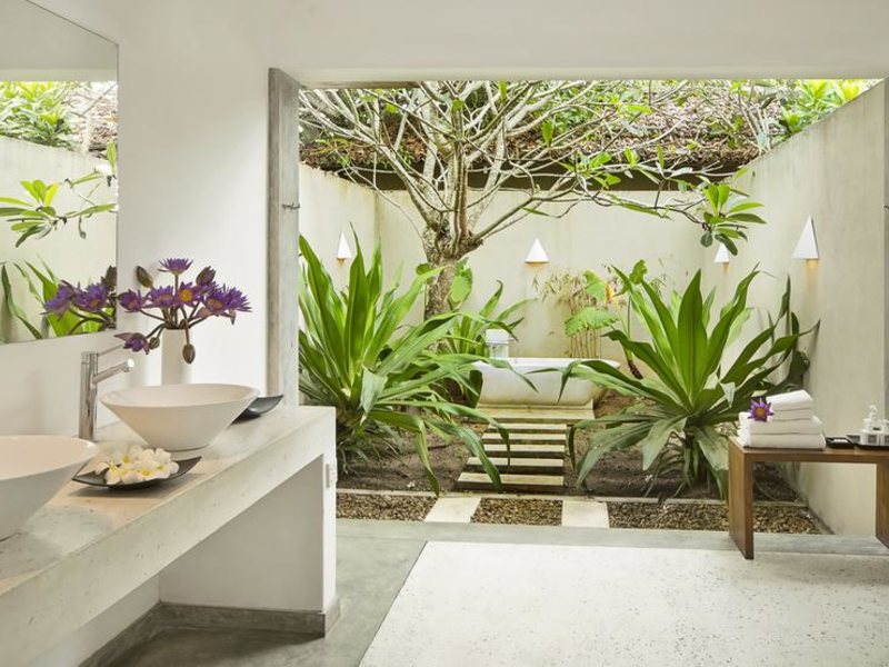 Villa Frangipani Tree 112307