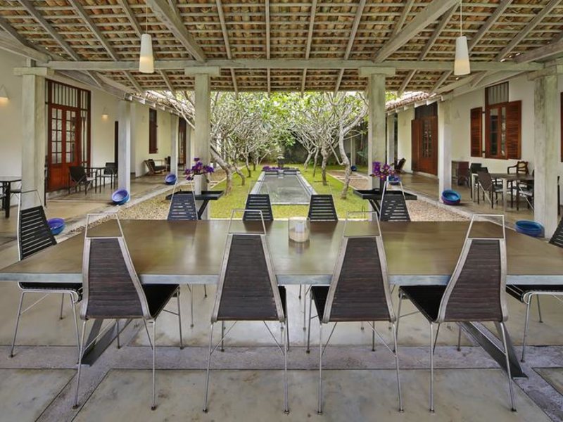 Villa Frangipani Tree 112309