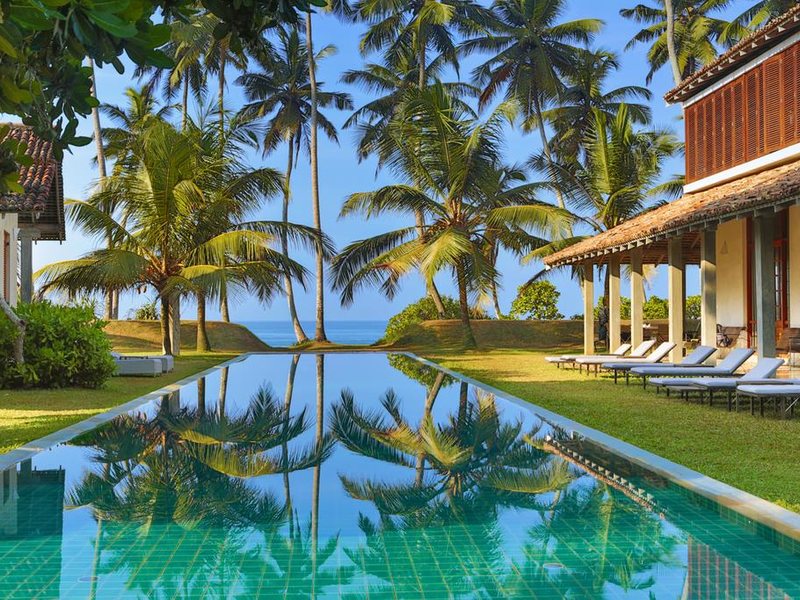 Villa Frangipani Tree 112310