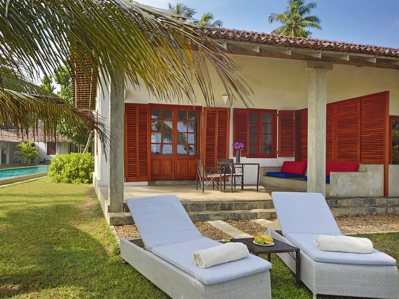 Villa Frangipani Tree 112311