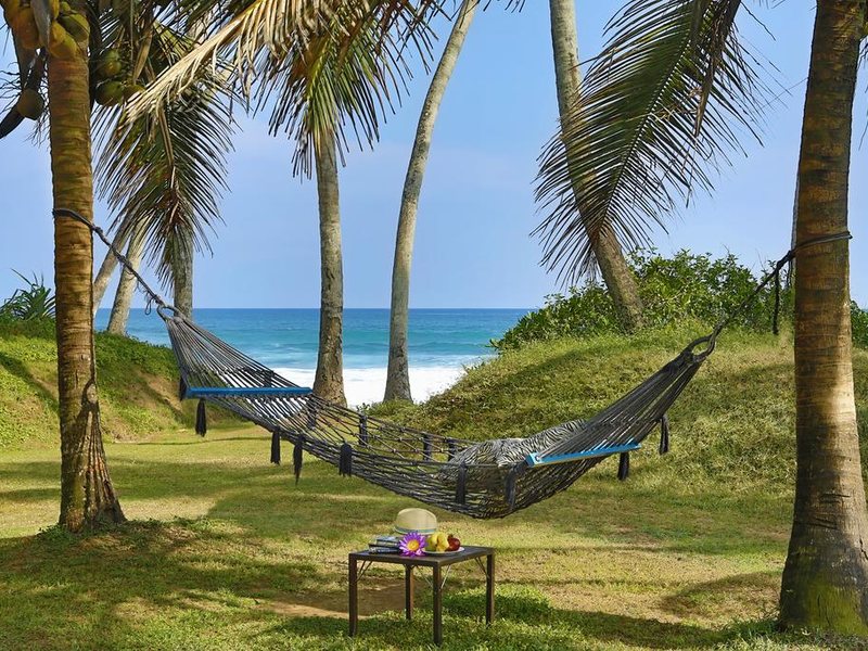 Villa Frangipani Tree 112312