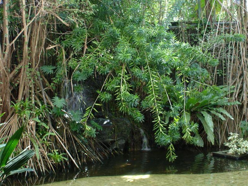 Villa Ocean View 108832