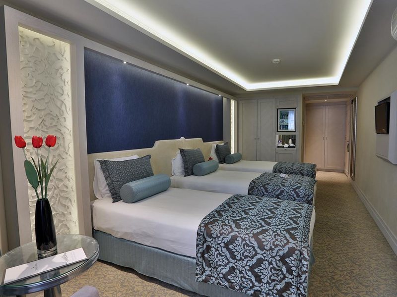 Villa Zurich Hotel 281141