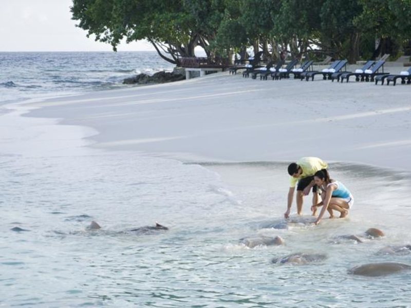 Vivanta By Taj Coral Reef 137224