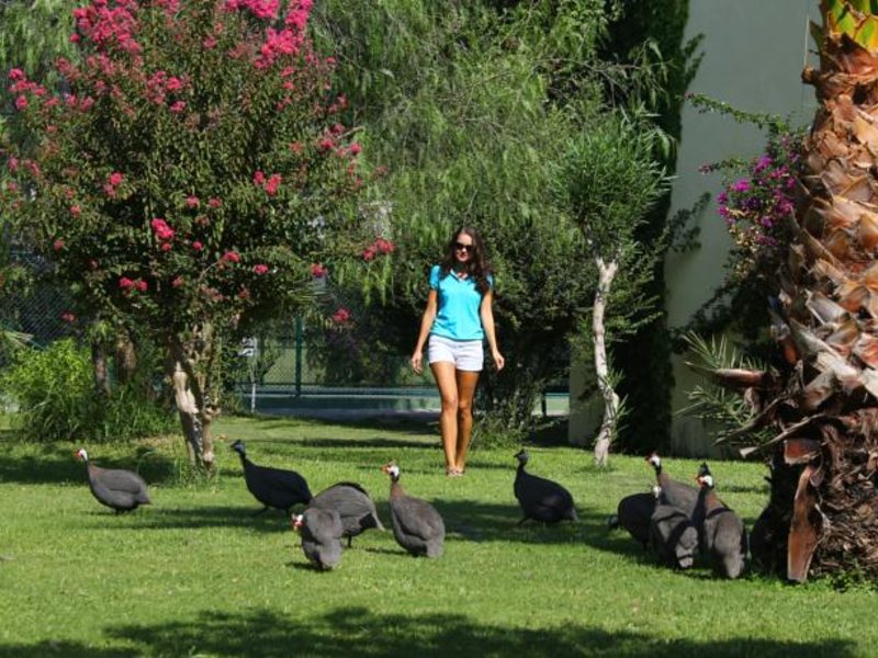 Von Resort Golden Beach (ех 90584