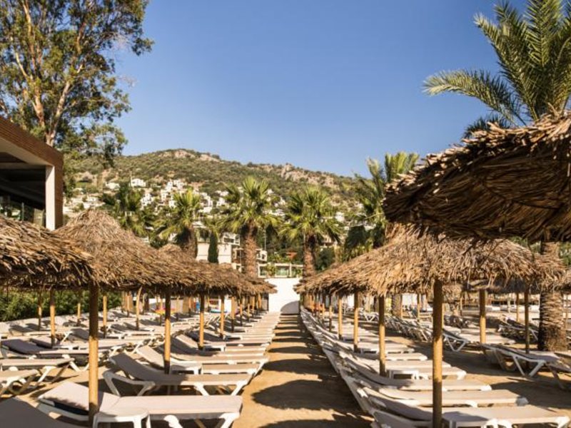 Voyage Turkbuku 105651