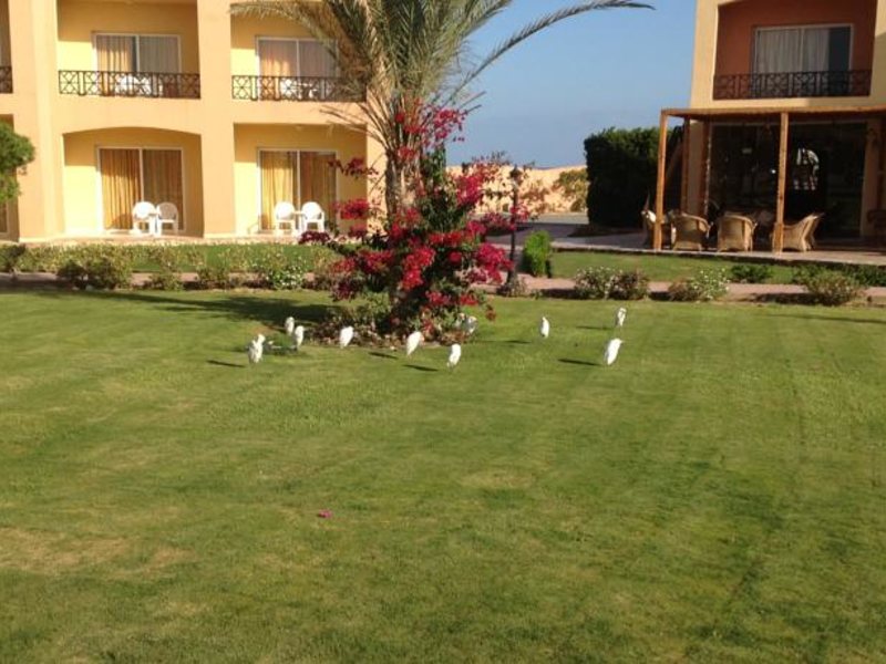 Wadi Lahmy Azur Resort 130857