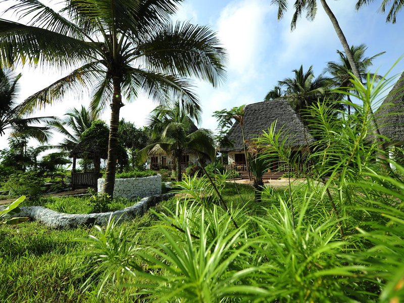 Waikiki Resort 203080