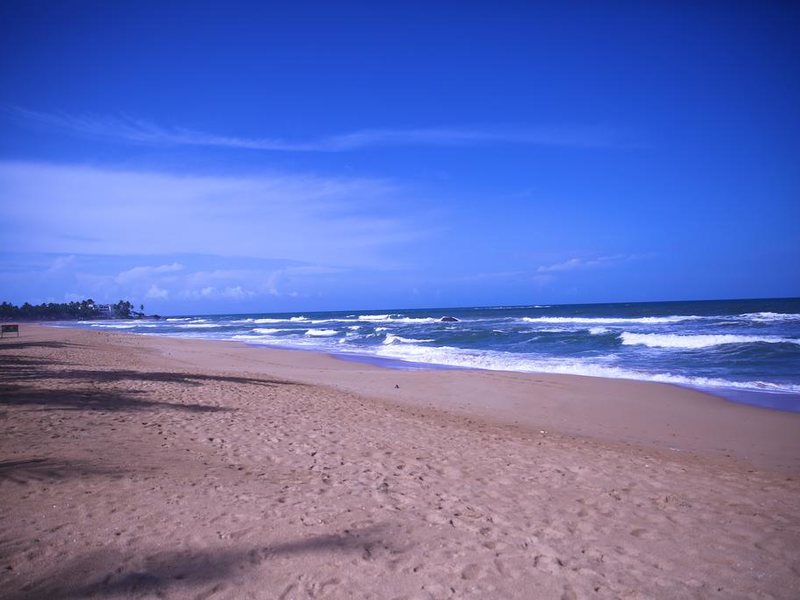 Whispering Palms Hotel  110875