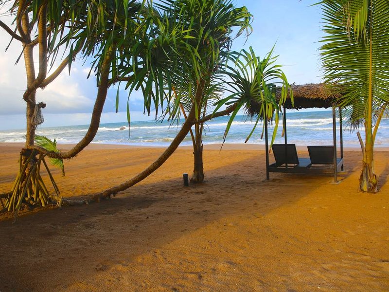 Whispering Palms Hotel  110879