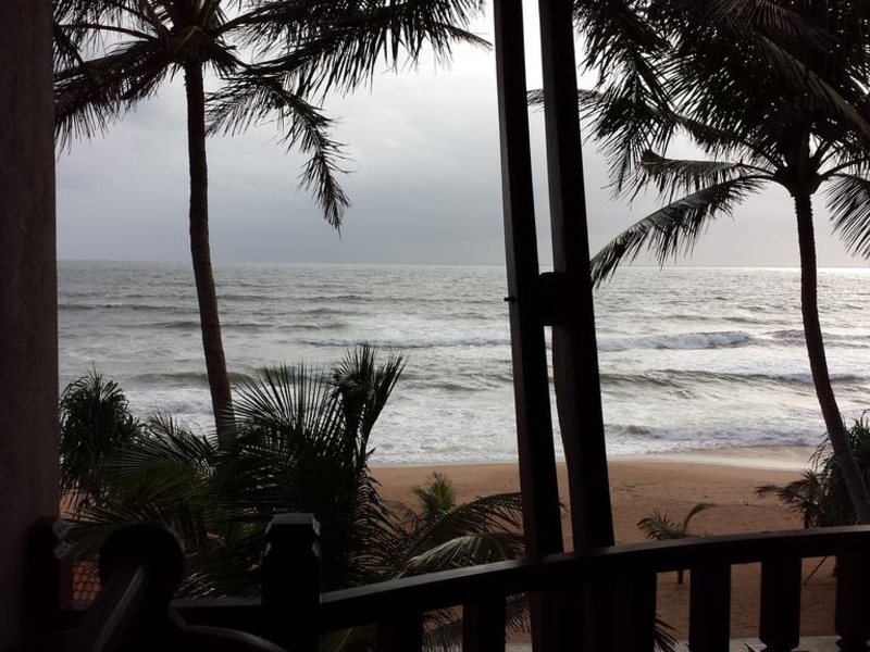 Whispering Palms Hotel  110886