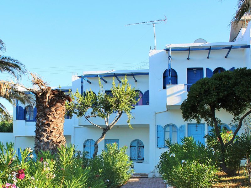 White–Blue Studios 256180