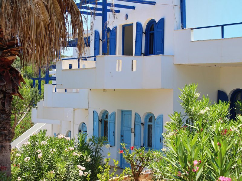 White–Blue Studios 256183