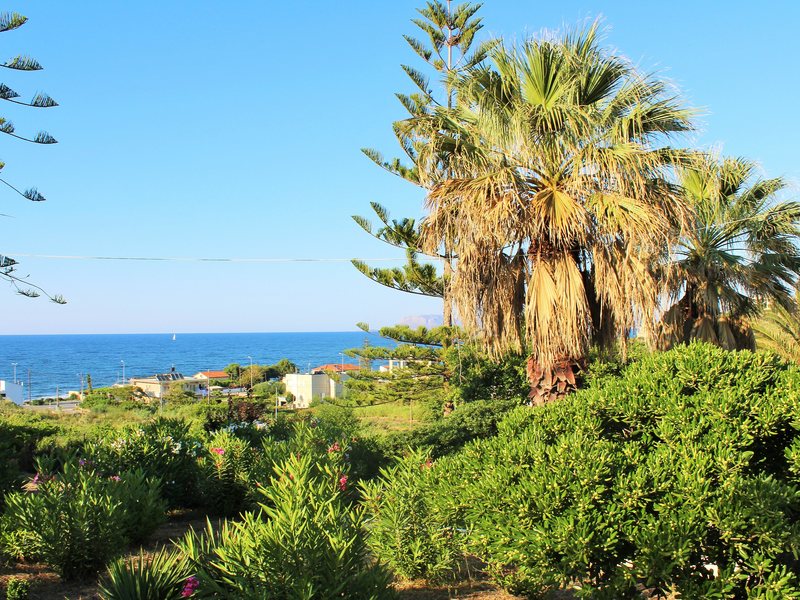 White–Blue Studios 256184