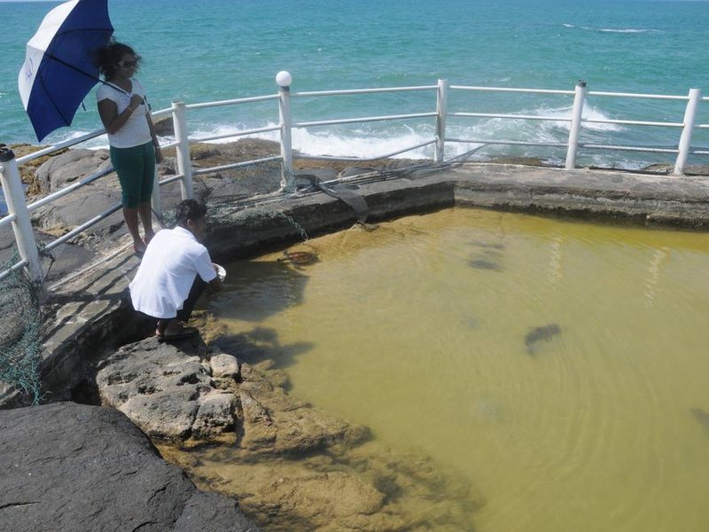 White Villa Resort 108945