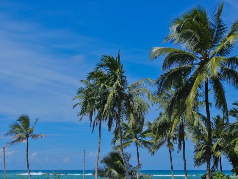 Wimals Resort  108966