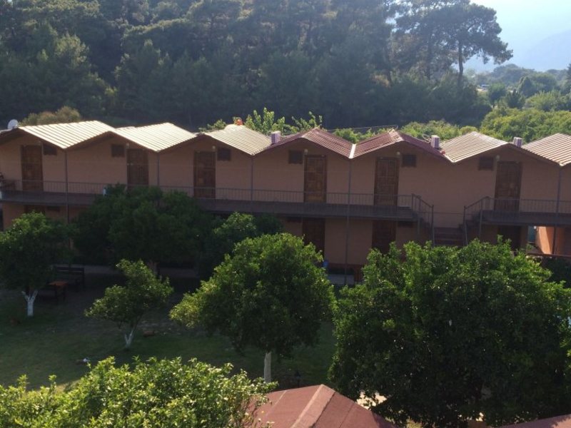 Woodline Hotel  282494