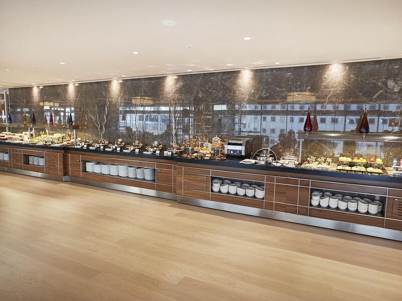 Wyndham Grand Istanbul Levent 244579