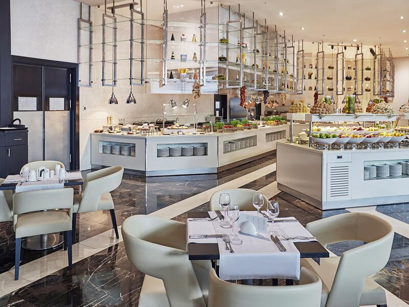 Wyndham Grand Istanbul Levent 244598
