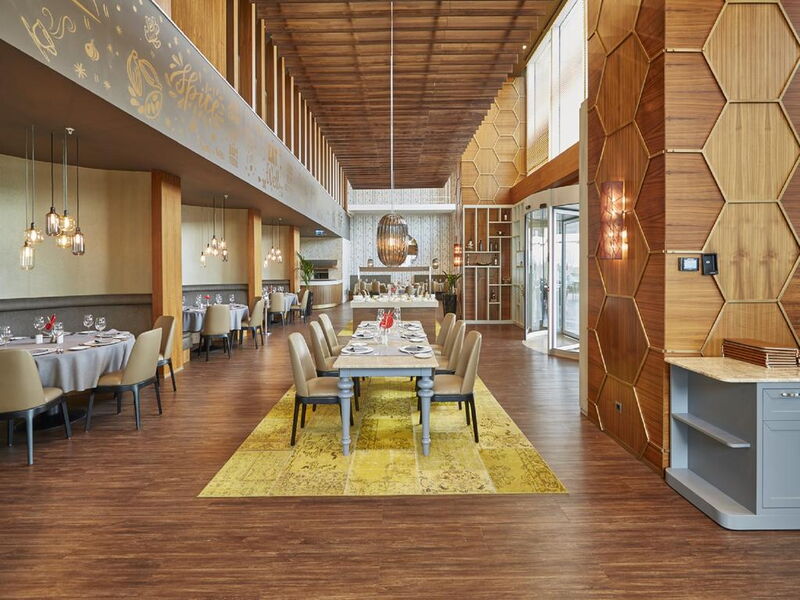 Wyndham Grand Istanbul Levent 244603