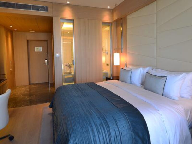 Wyndham Grand Istanbul Levent 296681