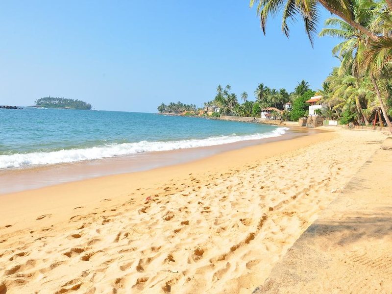 Ypsylon Tourist Resort 226801