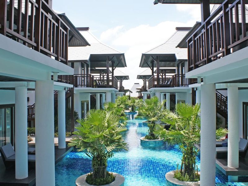 Z Through By The Zign 224564