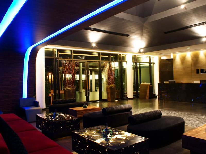 Z Through By The Zign 224567