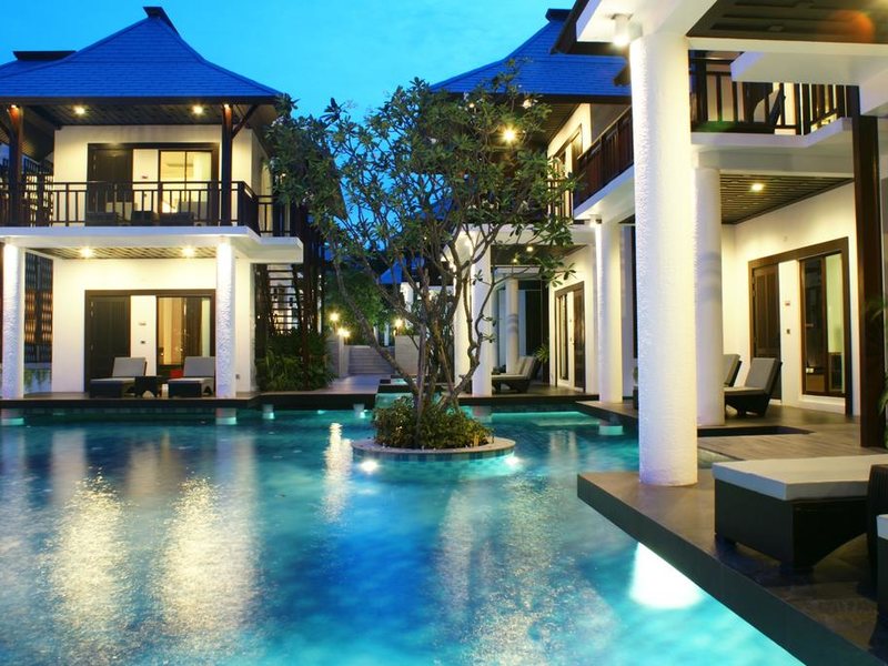 Z Through By The Zign 224568