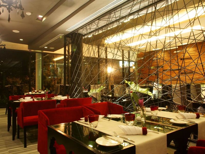 Z Through By The Zign 224572