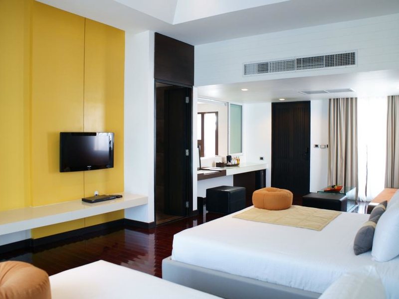 Z Through By The Zign 224580