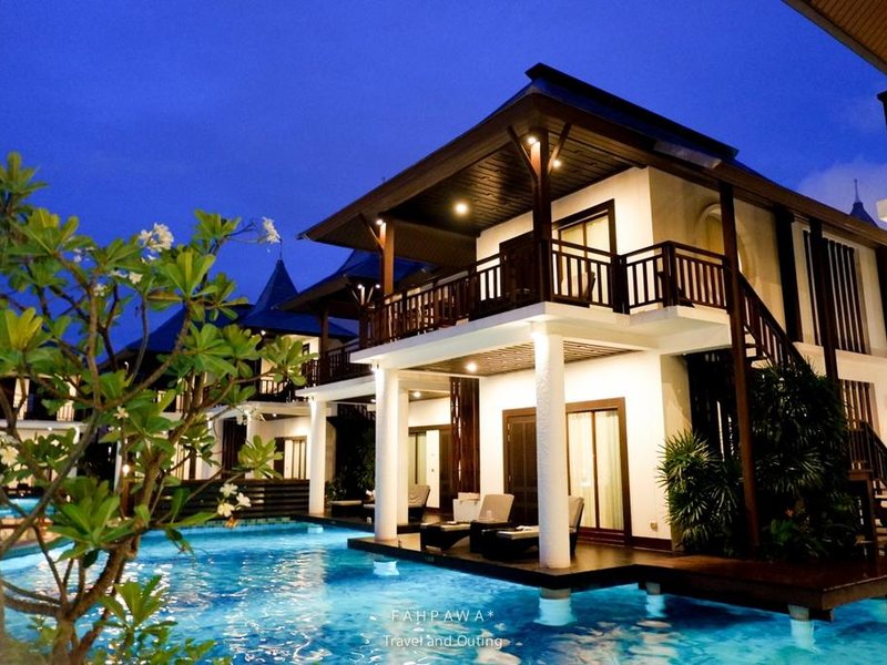 Z Through By The Zign 224588