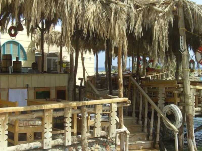 Zak Royal Wings 130034