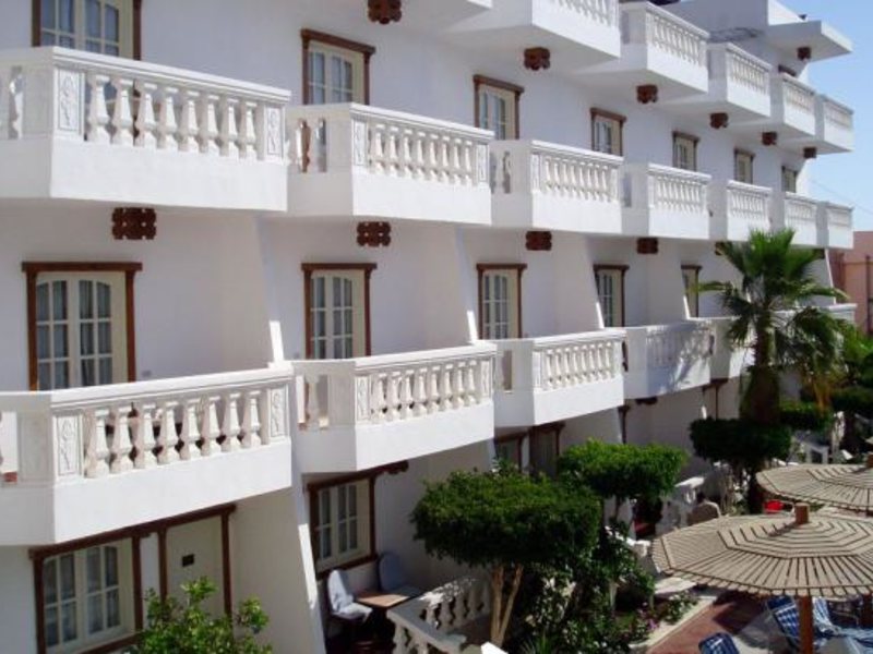 Zak Royal Wings 130041