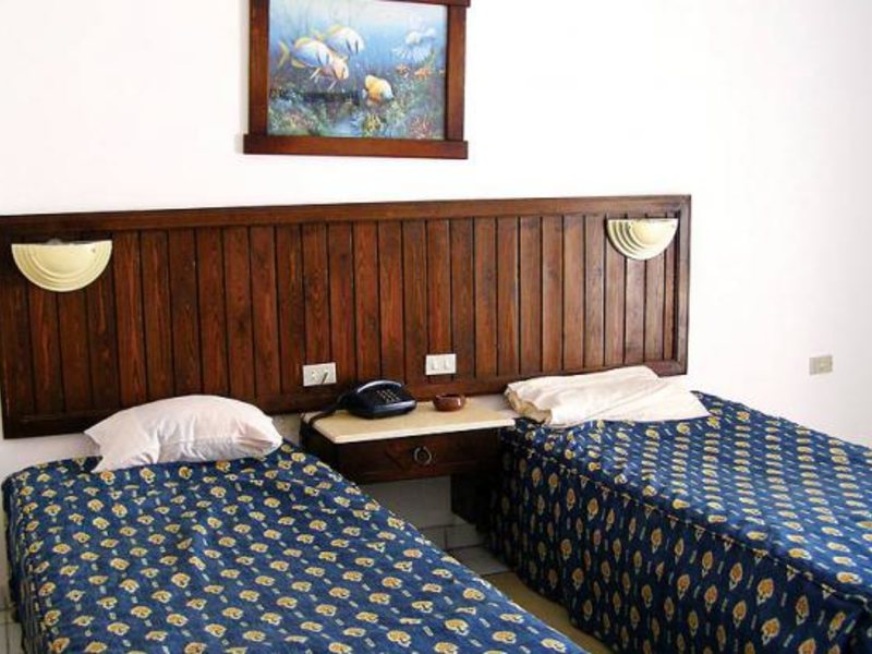 Zak Royal Wings 130044