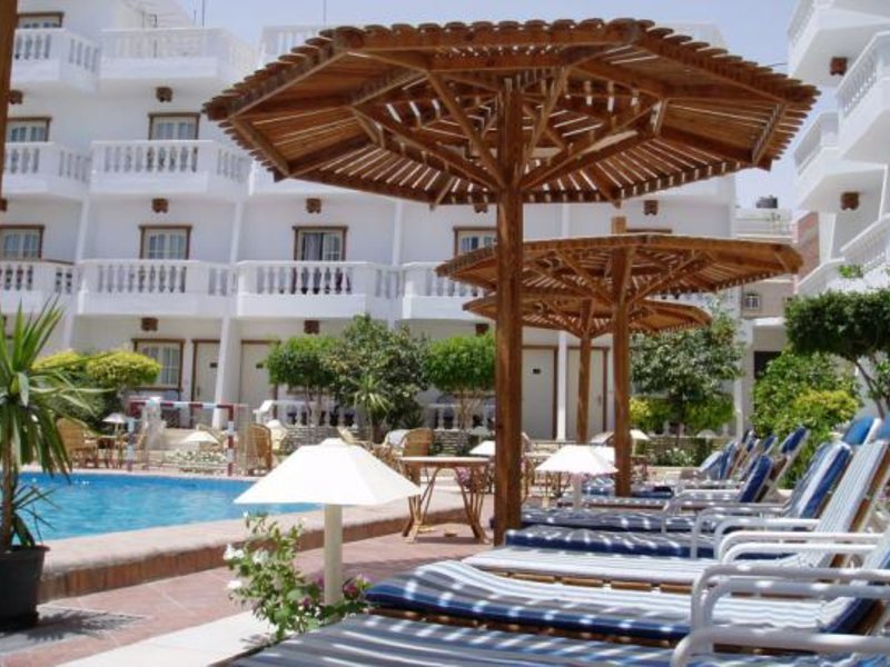 Zak Royal Wings 130046