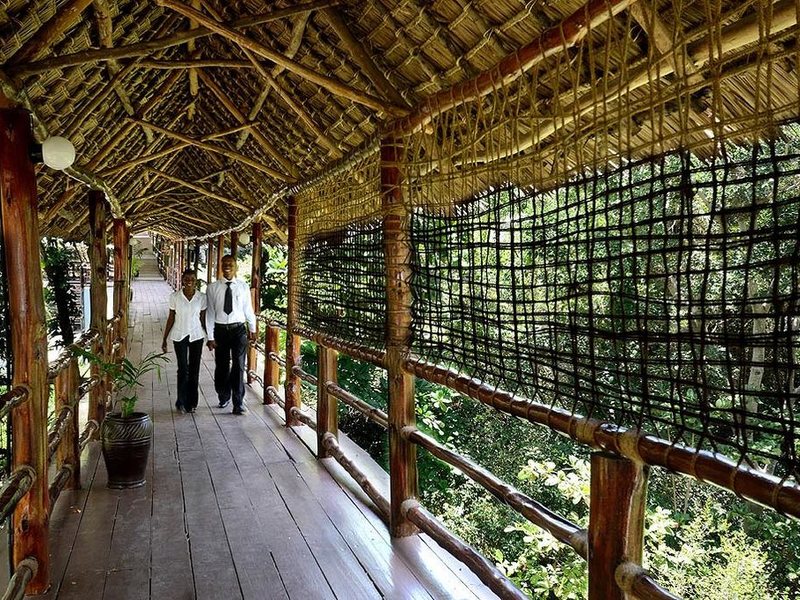 Zanzibar Ocean View 203338