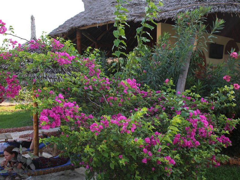 Zanzibar Star Resort 203412