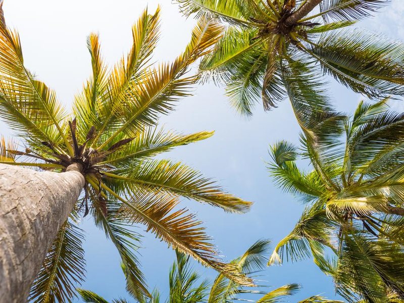 Zanzibar White Sand Luxury Villas & Spa  229410