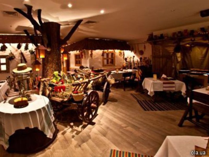 Zaporizhia Intourist Hotel 12859