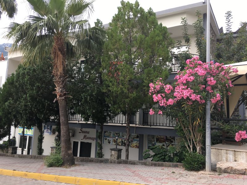 Zeus Turunc Hotel 188144