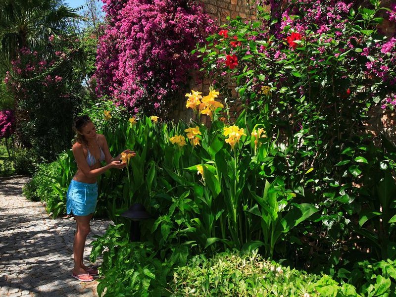 Zeytinada Hotel 188905