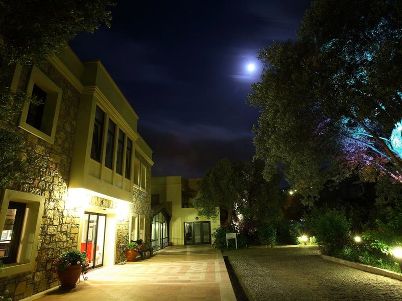 Zeytinada Hotel 188909