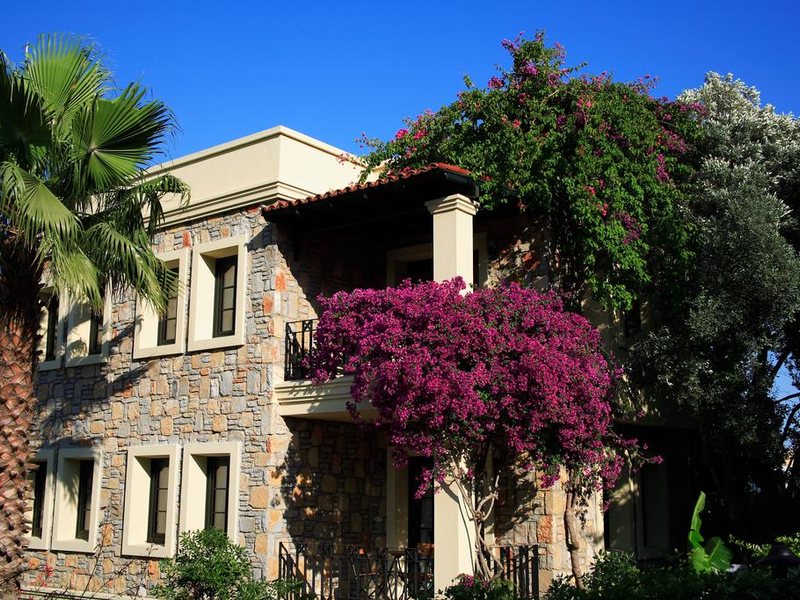 Zeytinada Hotel 188914