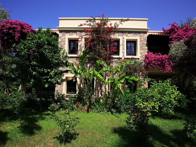 Zeytinada Hotel 188916