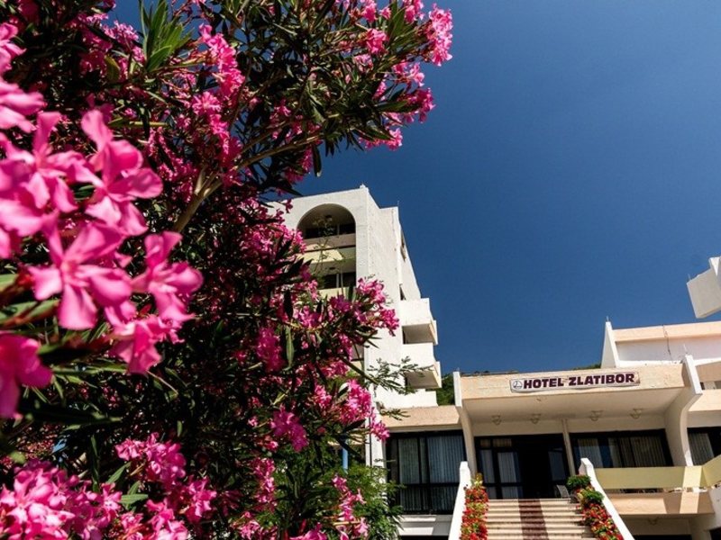 Zlatibor 86046