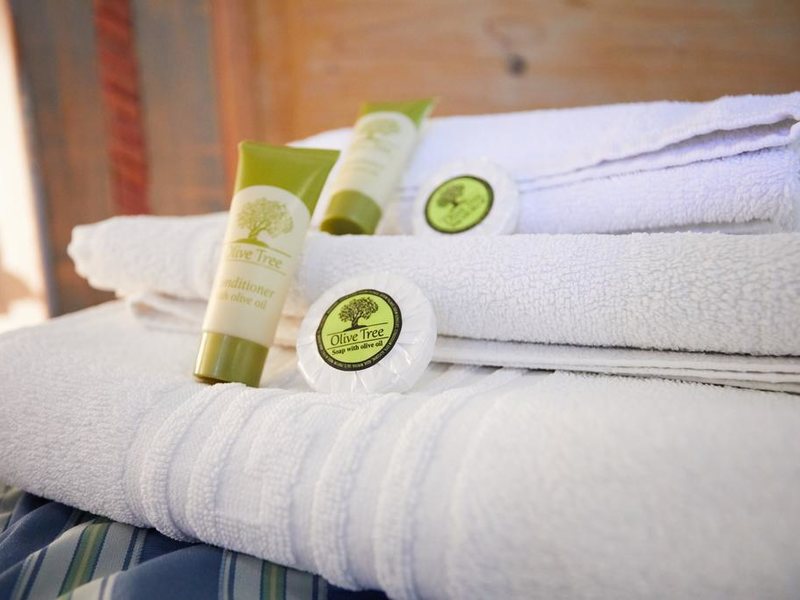 Zorbas Apartments 306796