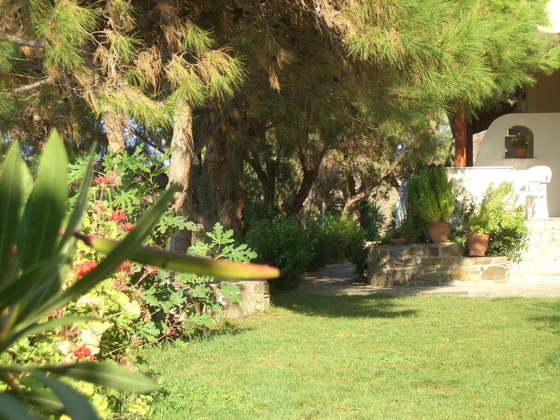 Zorbas Apartments 306799